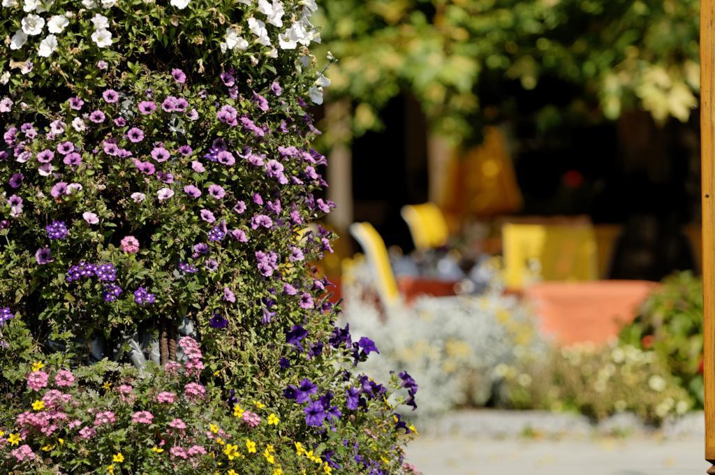 Hotel Beausite Unterseen Εξωτερικό φωτογραφία